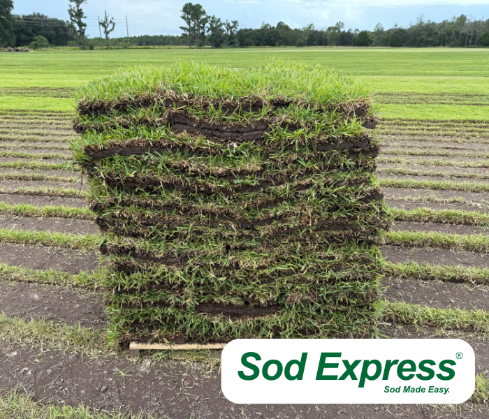 St. Augustine Sod (400 sq. ft.)